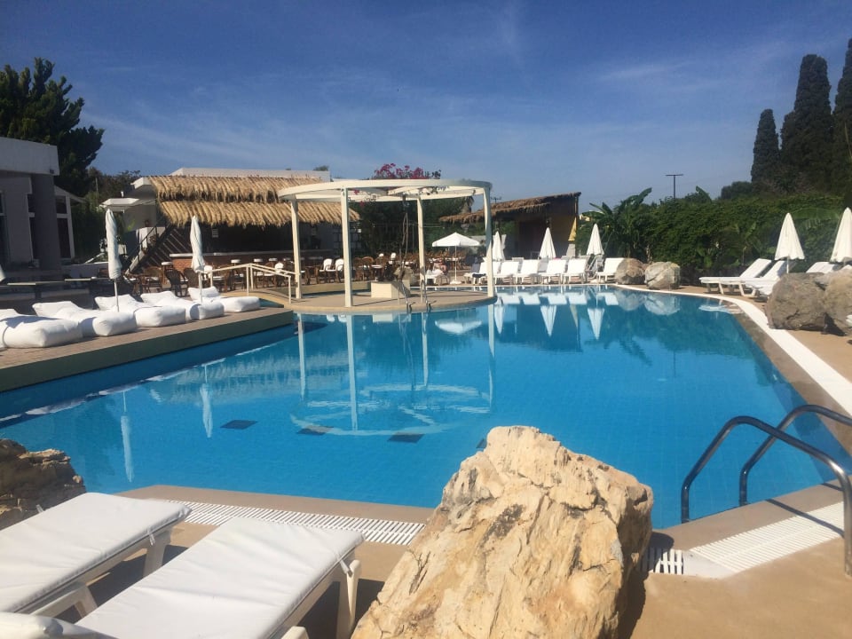 Pool area Hotel Palm Beach - Adults only