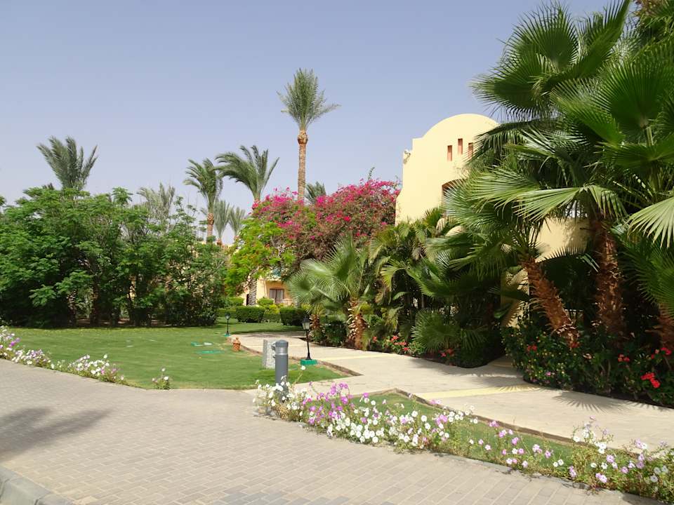 Gartenanlage Steigenberger Coraya Beach - Adults only