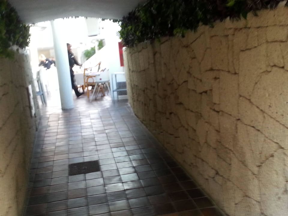 Zum Buffet Los Olivos Beach Resort