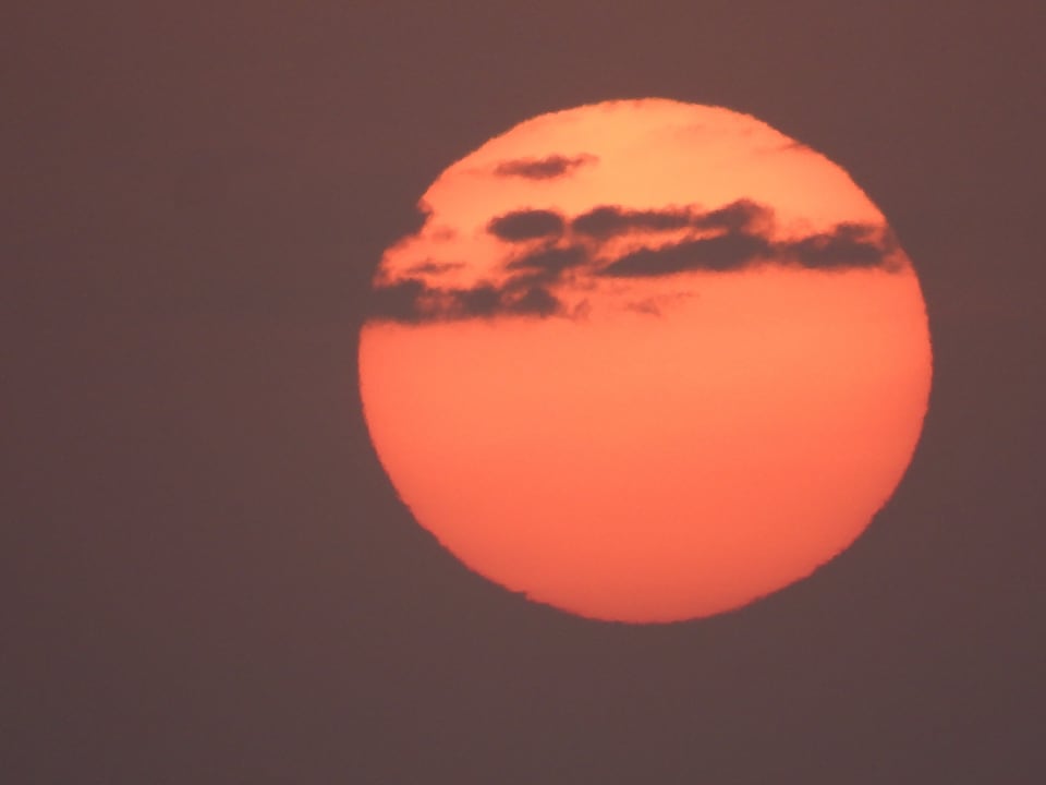 Strand Malikia Resort Abu Dabbab