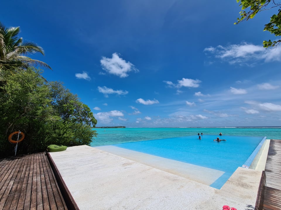 Pool Summer Island Maldives