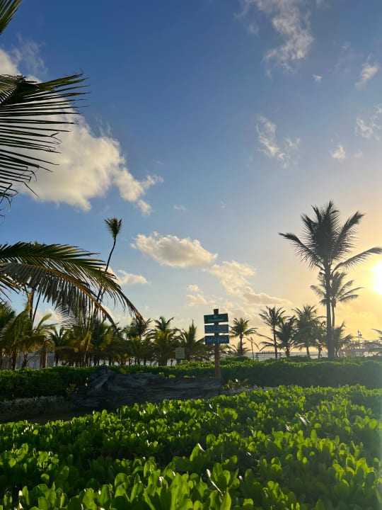 Gartenanlage Dreams Onyx Resort & Spa
