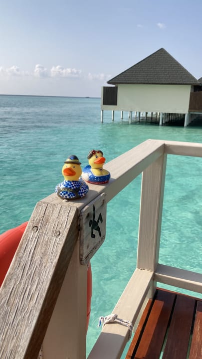 Ausblick Summer Island Maldives