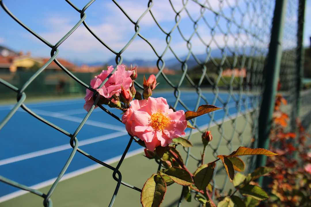 Campo da tennis B&B Miramonti Iseo Miramonti Room & Breakfast