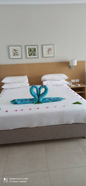 Zimmer JAZ Elite Asteria