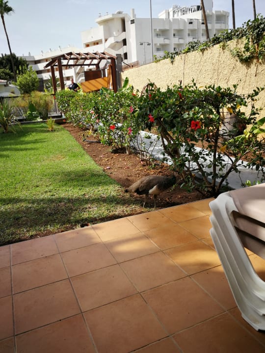 Garten HL Miraflor Suites Hotel