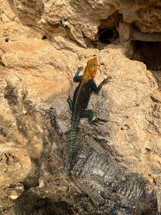 Sonstiges Bahari Beach Hotel