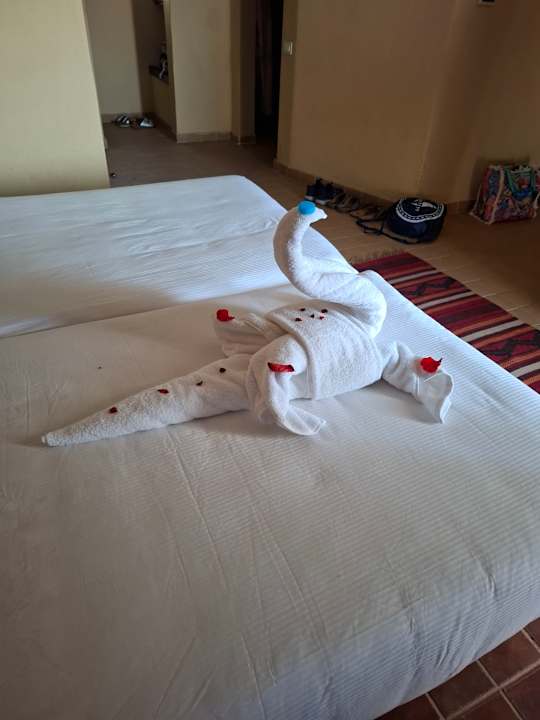 Zimmer Marina Lodge At Port Ghalib