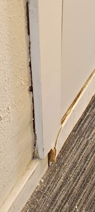 Lobby Grupotel Imperio Playa