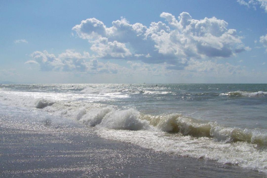 Turtas beach Club Turtas Beach Hotel