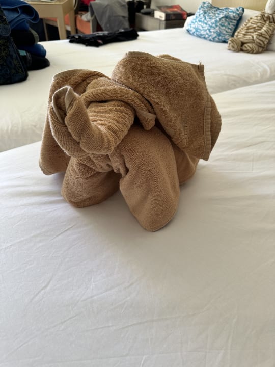 Zimmer SBH Hotel Taro Beach