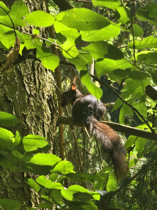 Gartenanlage Hotel Reifenstein