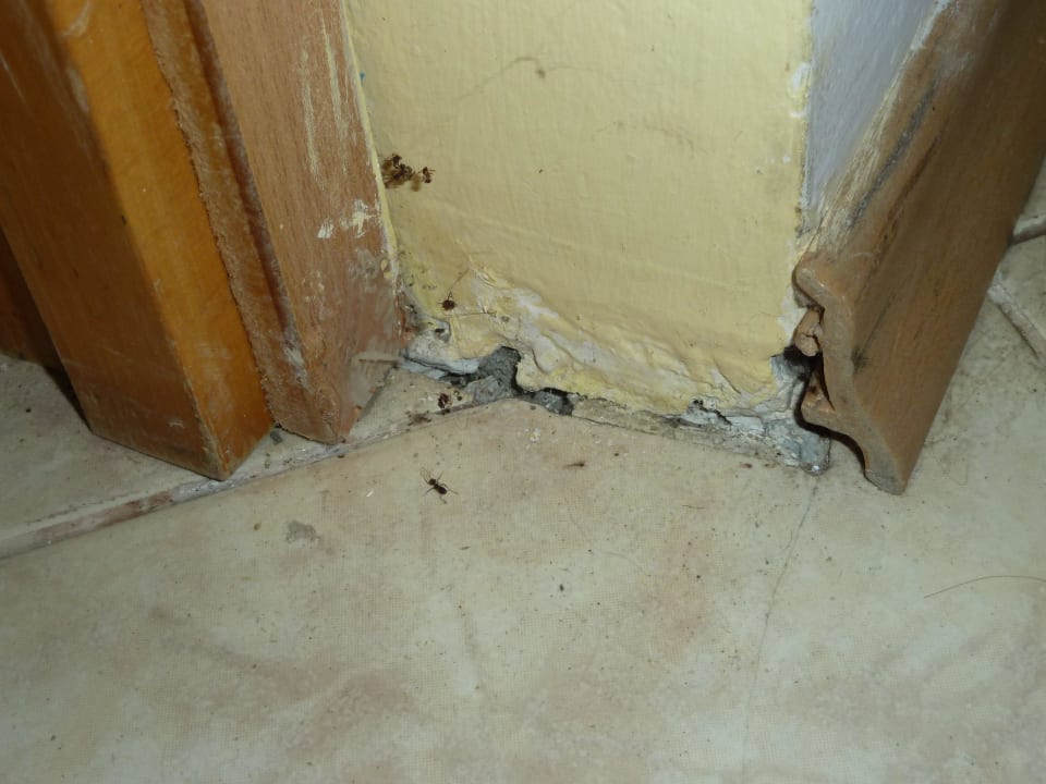 Villa Hotel Ralitsa Ralitsa Aqua Club