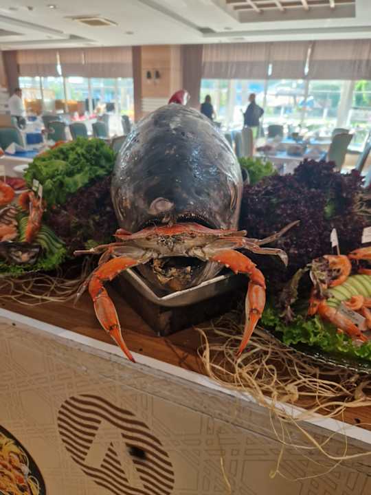 Gastro Adalya Ocean Deluxe