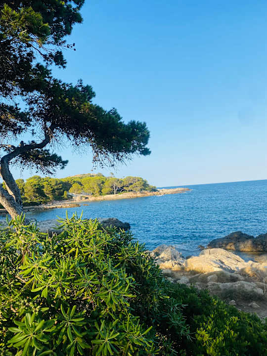 Außenansicht Iberostar Waves Pinos Park