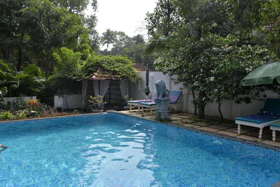 Pool Guesthouse Marari Beach Dreamz