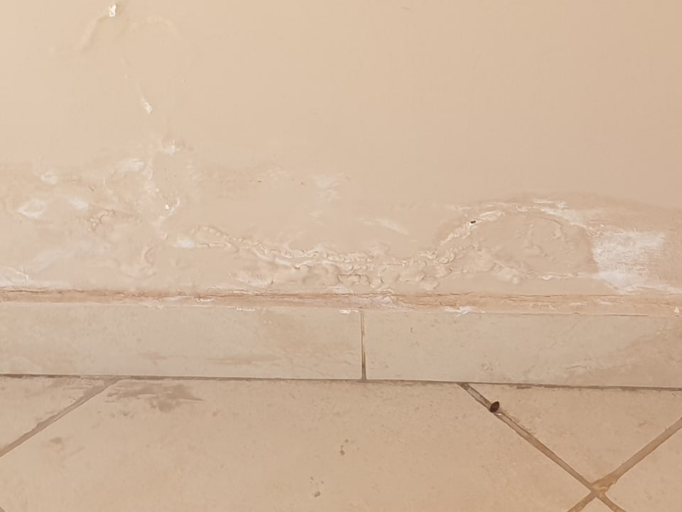 Sonstiges Parrotel Beach Resort