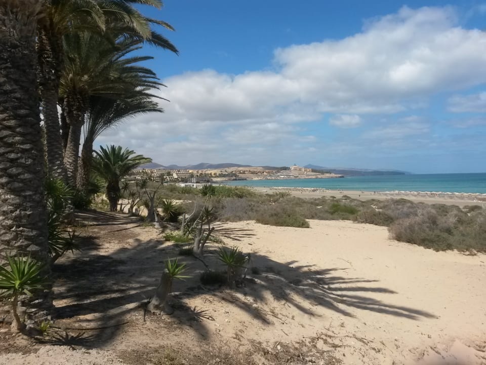 Strand SBH Costa Calma Beach Resort