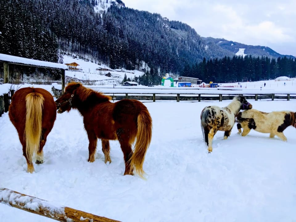 Sonstiges Feriendorf Holzleb'n