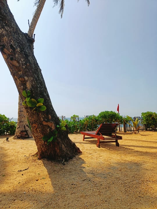 Strand Earl’s Reef Beruwala