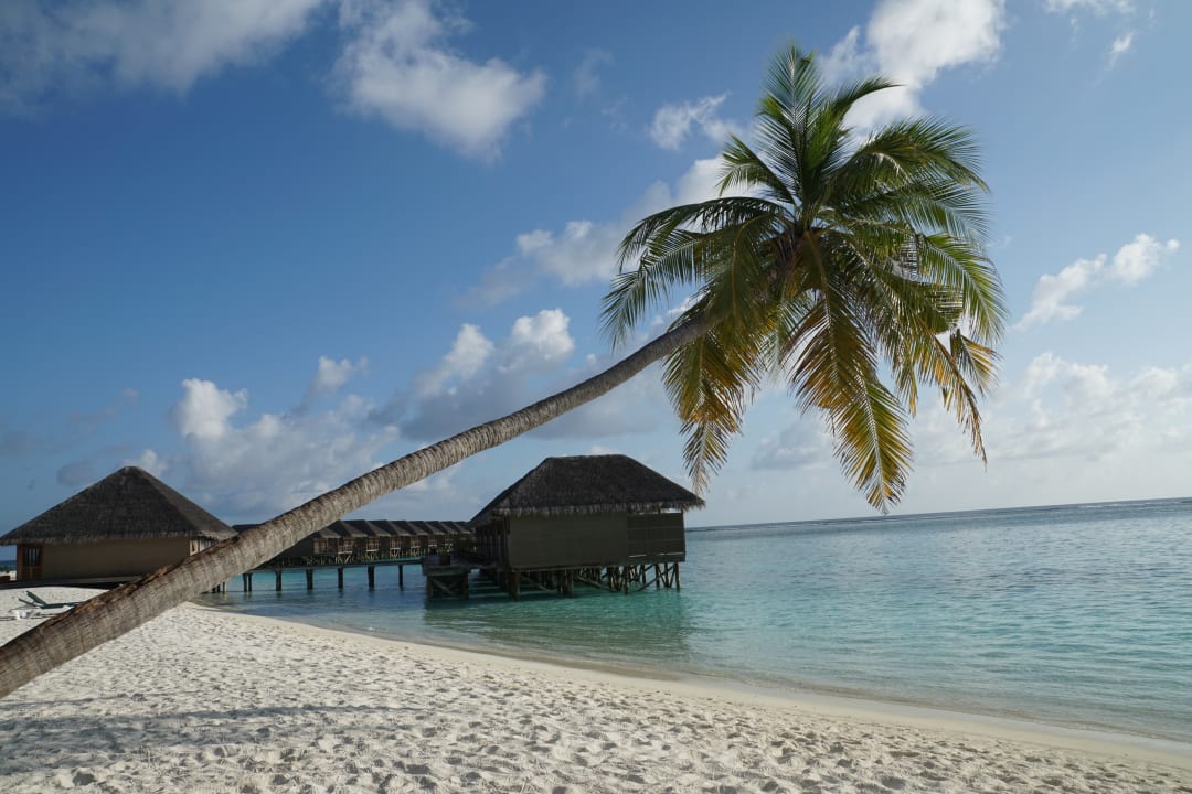 Strand Meeru Maldives Resort Island