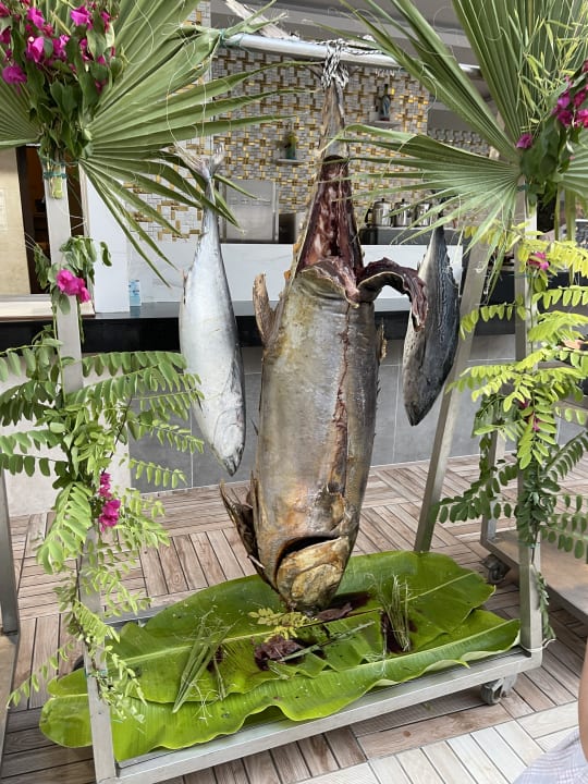 Gastro Glamour Resort & Spa