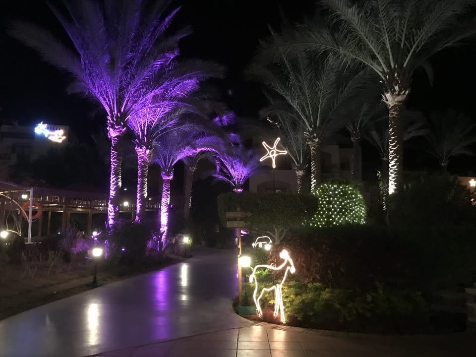 Gartenanlage Steigenberger Coraya Beach - Adults only