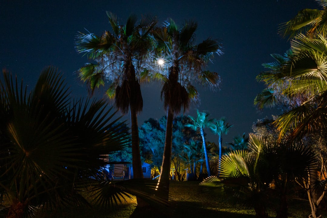 Gartenanlage Finca Ses Rotes Velles