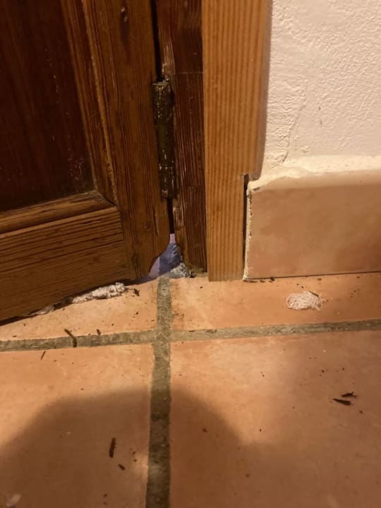 Zimmer Finca Ses Sitjoles