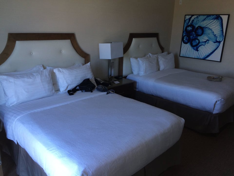 Groß und sehr bequem DoubleTree by Hilton San Diego Bayside