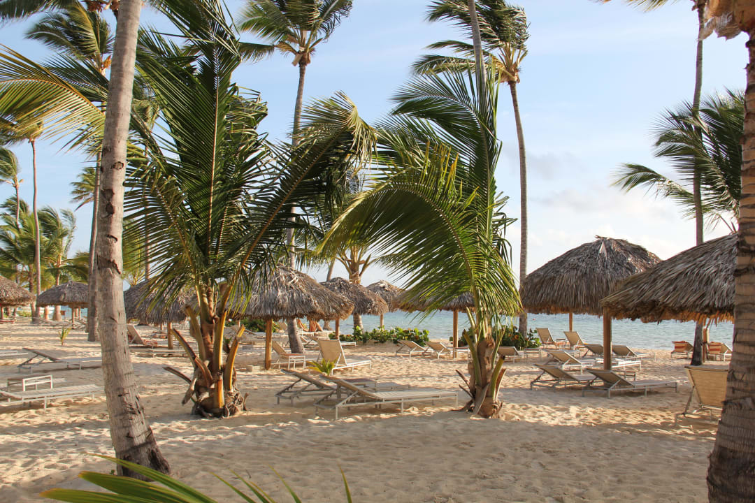 Strand beim Hotel Catalonia Royal Bavaro - Adults only