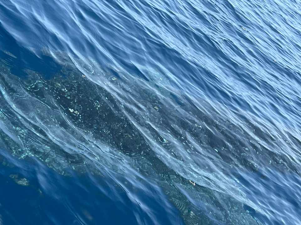 Sonstiges Pickalbatros Citadel Resort