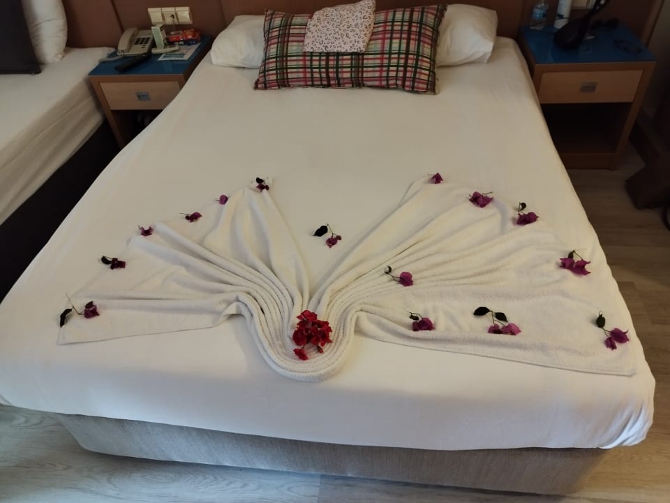 Zimmer Seher Kumköy Star Resort & Spa