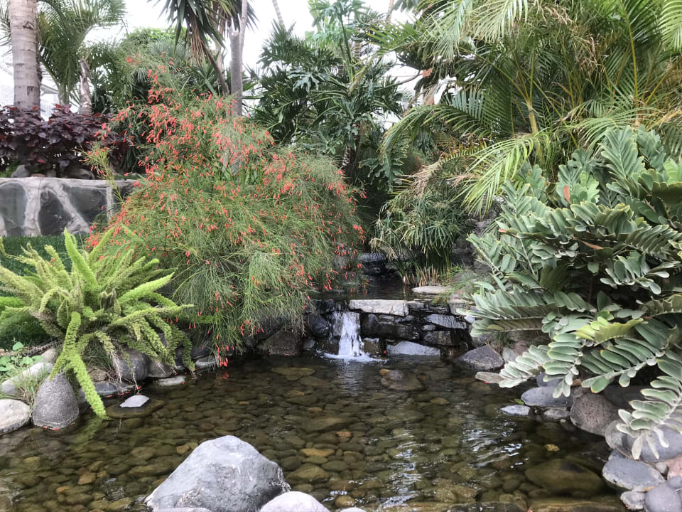 Gartenanlage allsun Hotel Lucana