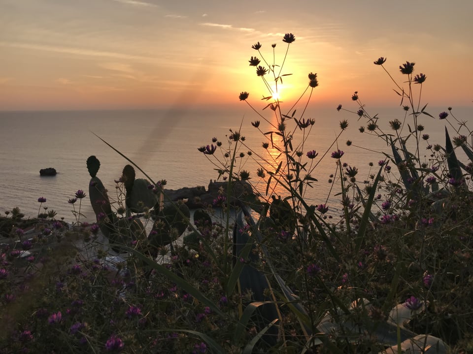 Ausblick TUI BLUE Tropea