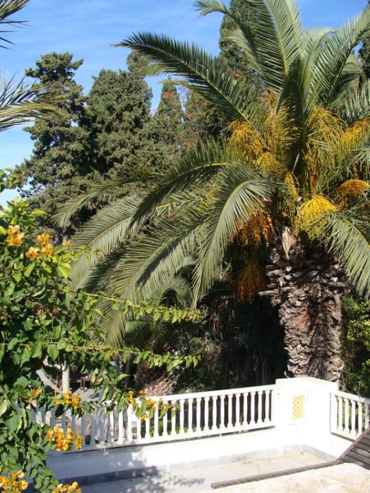 Balkon The Orangers Beach Resort and Bungalows