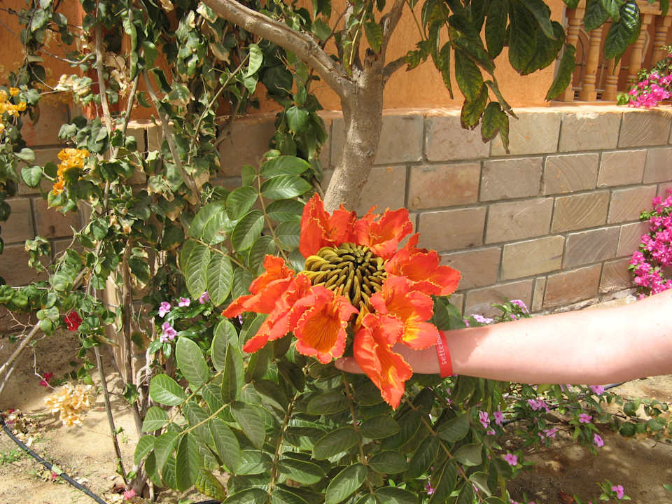 Strauch Dream Lagoon Resort & Aqua Park