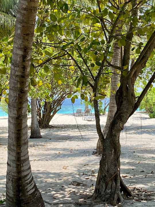 Strand Adaaran Select Meedhupparu Island Resort - Premium All Inclusive