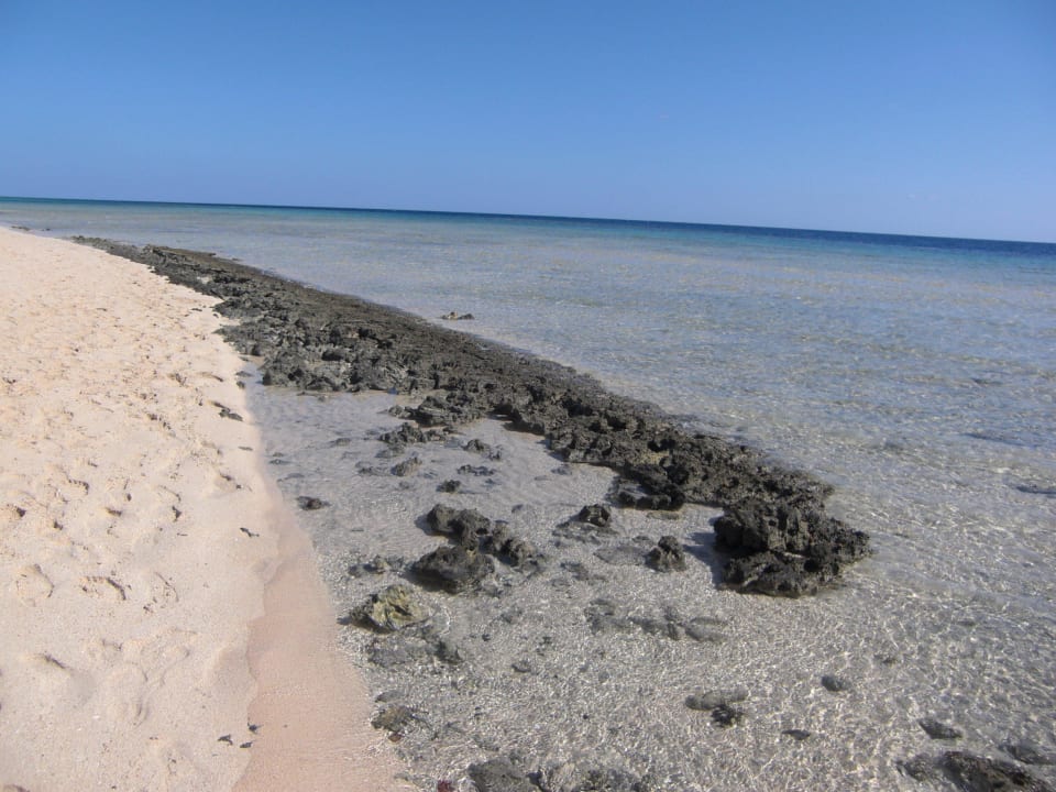 Nahe dem Einstig ins südliche Hausriff Hotel Gorgonia Beach Resort