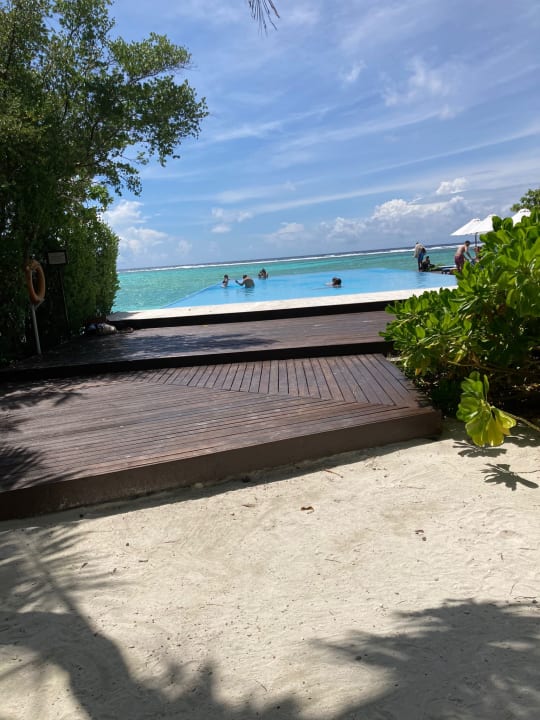 Pool Summer Island Maldives