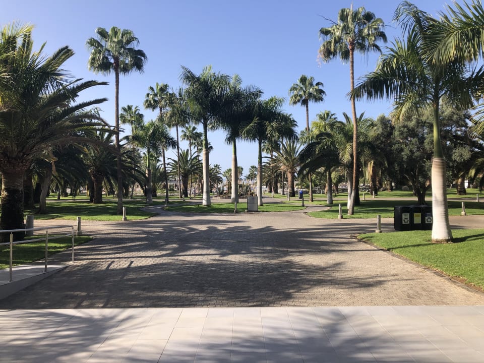 Gartenanlage Hotel Riu Gran Canaria