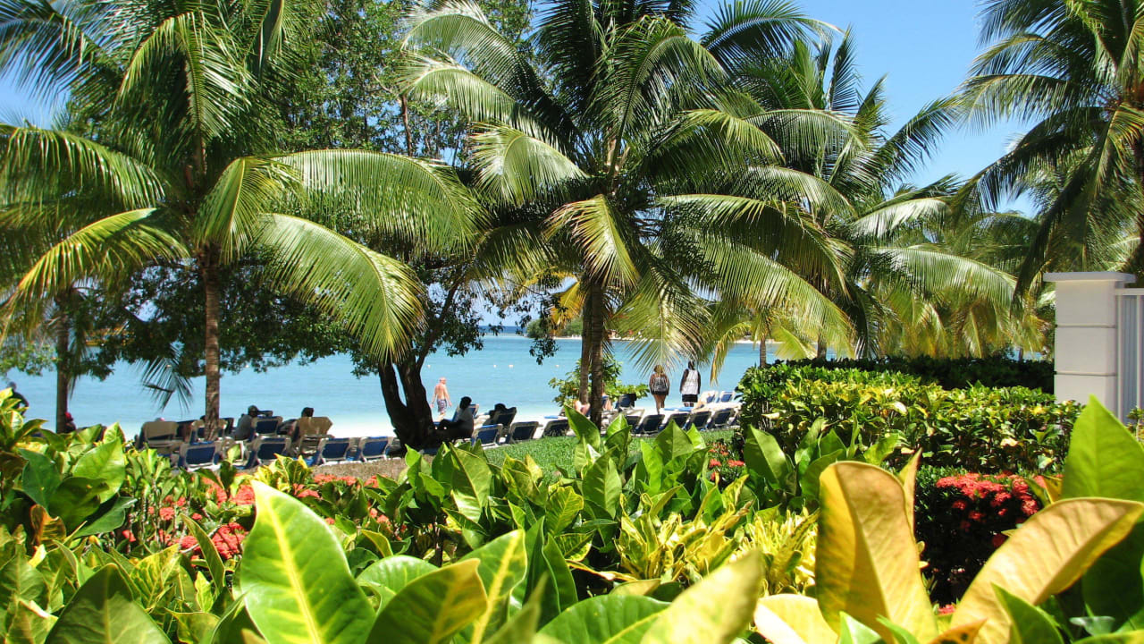 Gartenanlage Riu Montego Bay - Adults Only