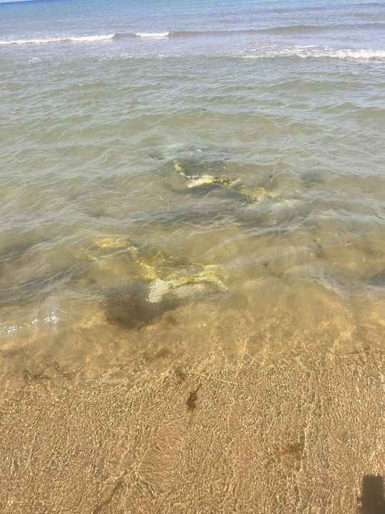 Strand Korumar Ephesus Beach & Spa Resort