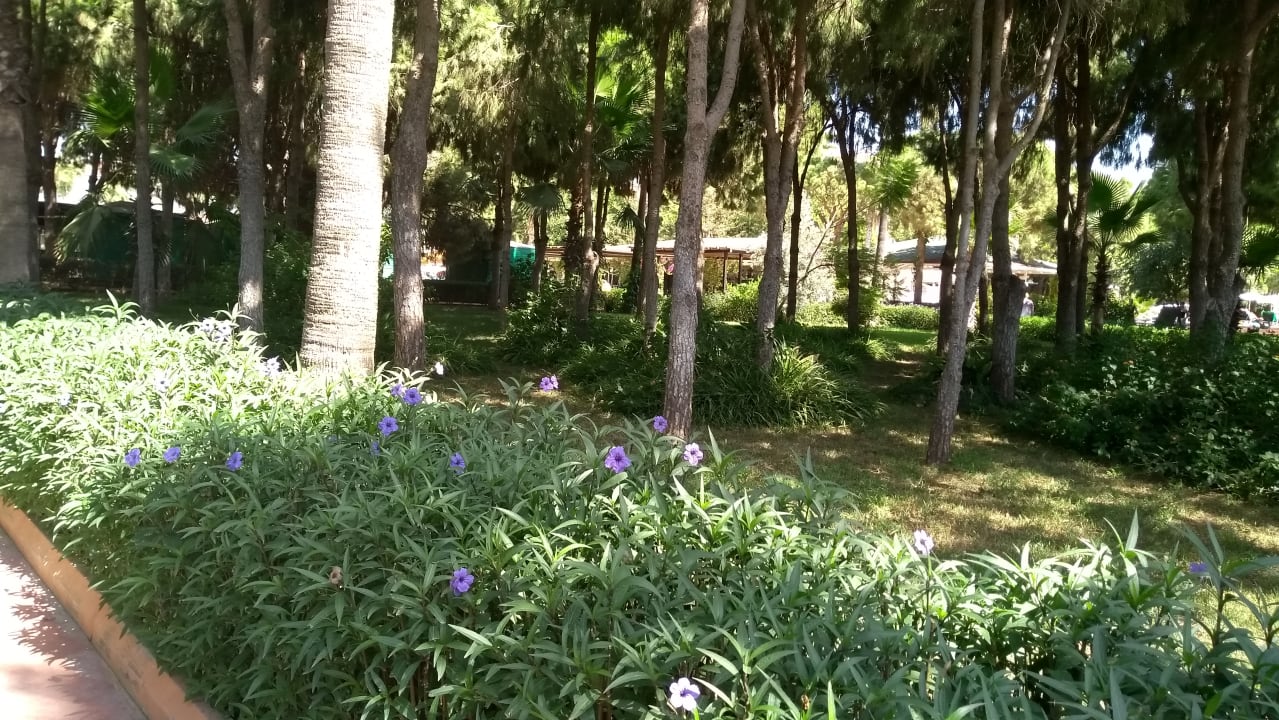 Gartenanlage Club Turtas Beach Hotel