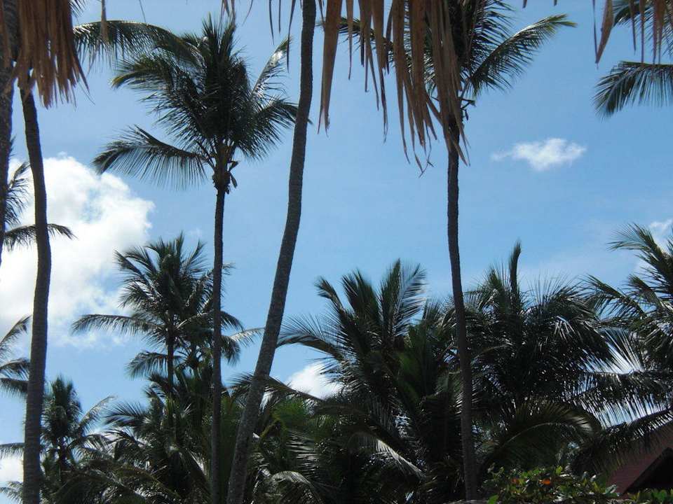 Toller Palmenstrand Grand Palladium Select Bávaro Resort & Spa