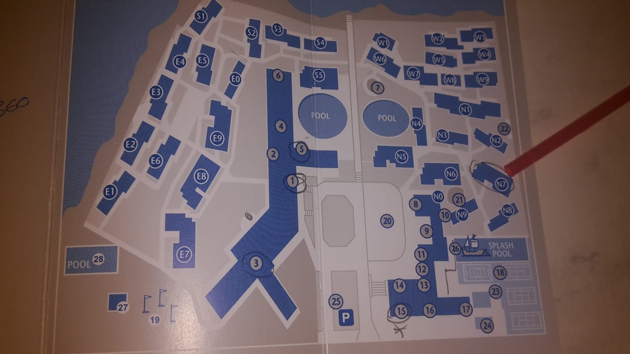 Sonstiges blau punta reina