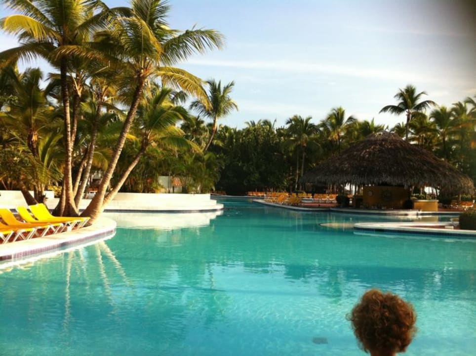 Der Pool morgens Catalonia Punta Cana - All Inclusive