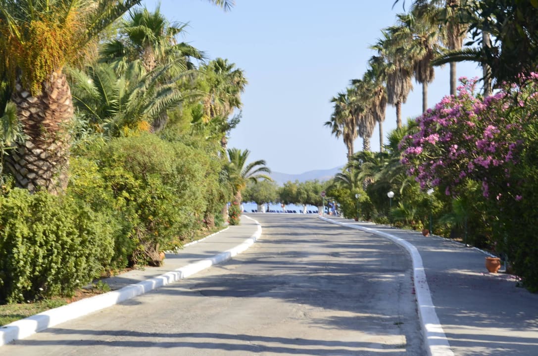 Auf dem Weg zum Strand Hotel Tigaki Beach