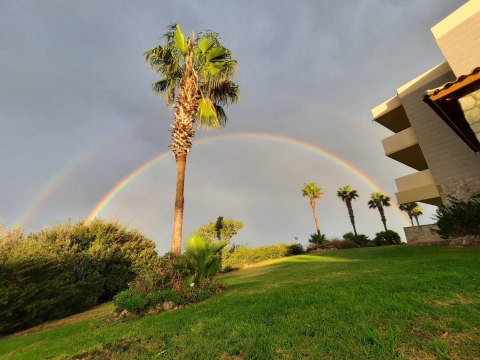 Gartenanlage Hotel Kalithea Horizon Royal