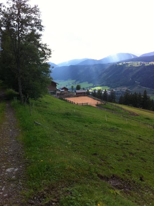 Vom Badesee zur Pferde Koppel Hotel Schröckerhof